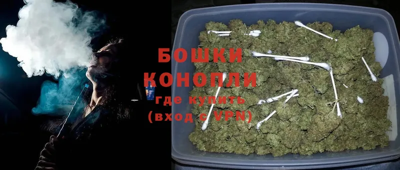 Конопля Bruce Banner  Старая Русса 